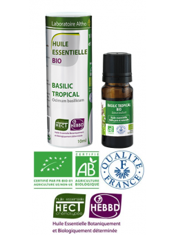 Basilic Tropical Essentielle Bio
